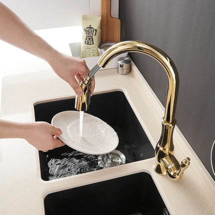 Gold Pull Out Kitchen Faucet - Wnkrs