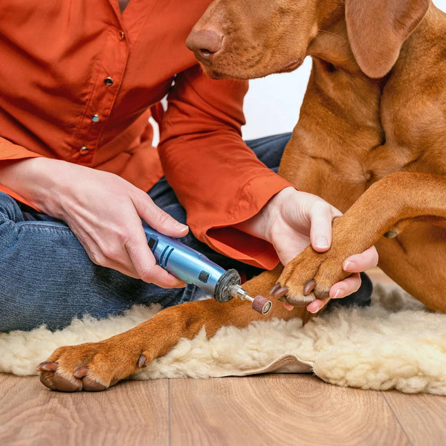 Broyeur à ongles électrique rechargeable pour chien