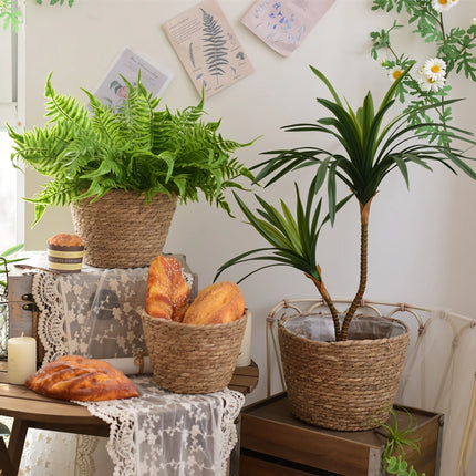 Ensemble de paniers à plantes en paille tressée