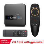 16G VOICE REMOTE / EU Plug