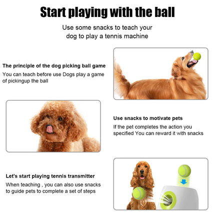 Juguete interactivo para perros: lanzador automático de pelotas de tenis