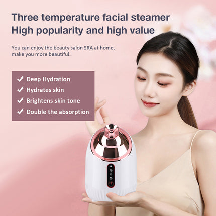 Vaporizador facial hidratante Nano Mist con pulverizador frío y caliente para limpieza profunda de poros e hidratación