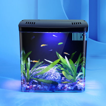 Acuario compacto con luz LED y filtro trasero autocirculante