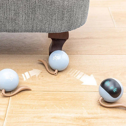 Smart Interactive LED Cat Ball Toy - Wnkrs