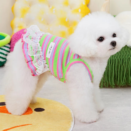 Robe rayée pour chien