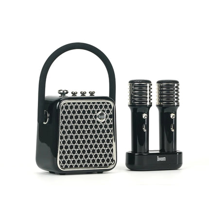 Enceinte Bluetooth portable avec deux microphones de karaoké