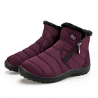 Vin rouge / 5.5