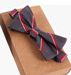 bow tie 3