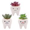 3PCS Set