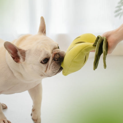 Juego de juguetes interactivos de peluche para perros