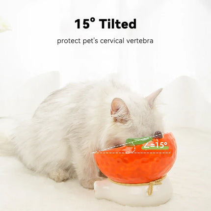 Gamelle surélevée en céramique pour chat avec design incliné pour manger et boire facilement