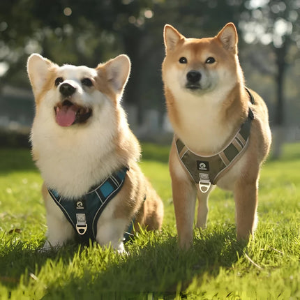 Harnais de sécurité réfléchissant réglable avec laisse pour bouledogues français et animaux de compagnie