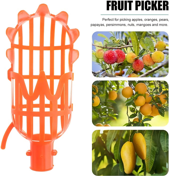 Tête de cueilleur de fruits