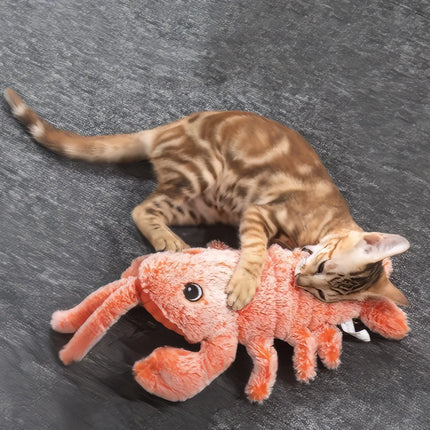 Jouet interactif électrique pour chat en forme de homard – Un divertissement amusant pour les animaux et les enfants