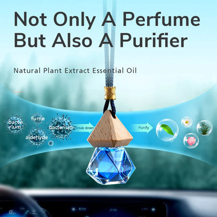 Essential Oil Hanging Car Perfume Bottle with Air Freshener for Car and Home