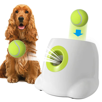 Juguete interactivo para perros: lanzador automático de pelotas de tenis