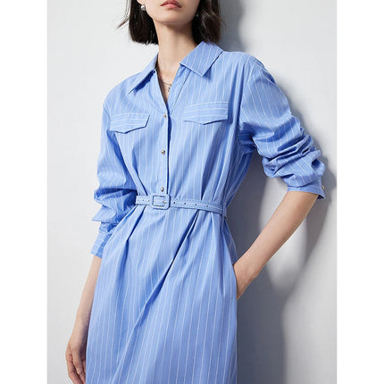 Women's Autumn Blue and White Striped A-Line Shirt Dress