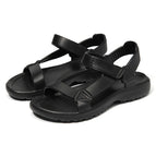 Black / 36