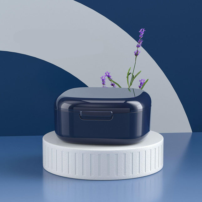 Boîte de rangement portable pour prothèses dentaires