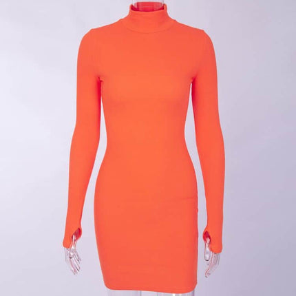 Women's Ribbed Knitted Turtleneck Mini Dress - Wnkrs