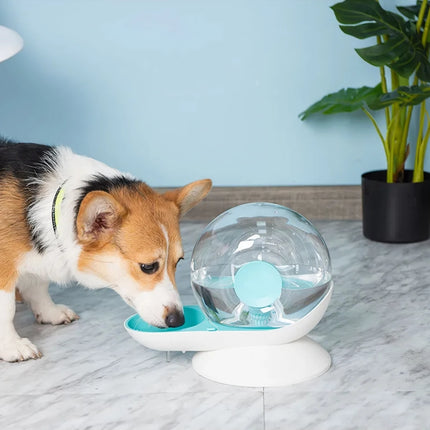 Fontaine à eau automatique en forme d'escargot pour chats et chiens de 2,8 L