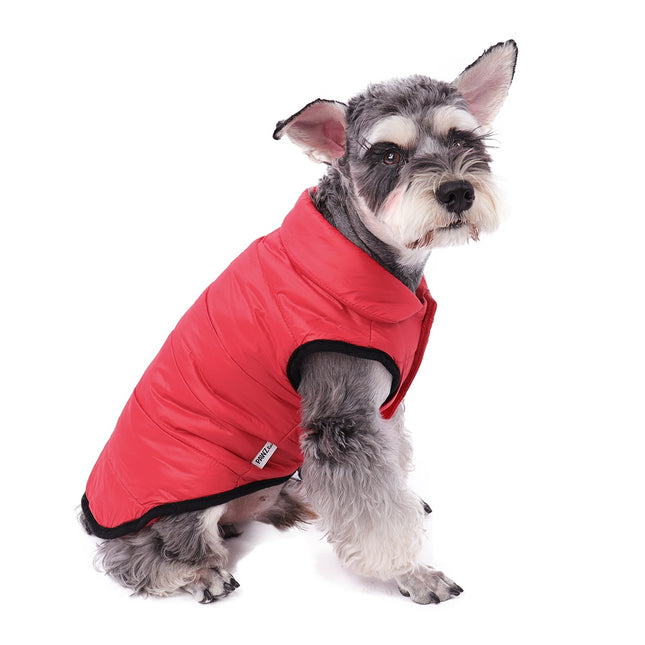 Veste d'hiver confortable pour chien