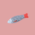 Blue Striped Fish