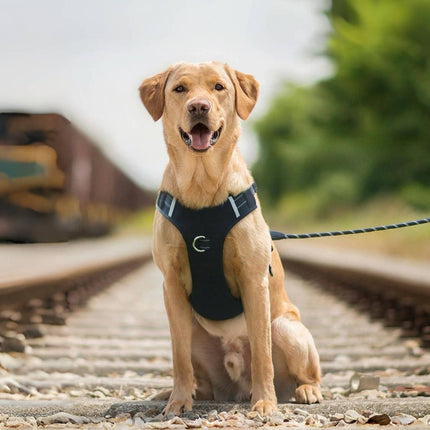 Conjunto de arnés y correa reflectantes para perros medianos y grandes: perfecto para pasear golden retrievers y labradores