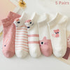 5 pares de colores mezclados