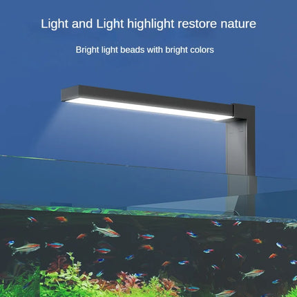 Lámpara LED compacta para acuario