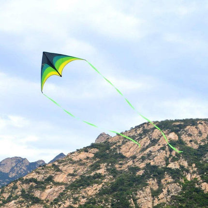 Large Delta Kite for Outdoor Sports - Wnkrs