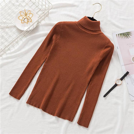 Women's Knitted Winter Turtleneck Sweater - Wnkrs