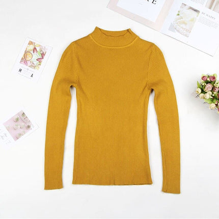 Solid Turtleneck Knitted Sweater for Women - Wnkrs