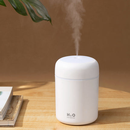 Mini LED Humidifier - Wnkrs