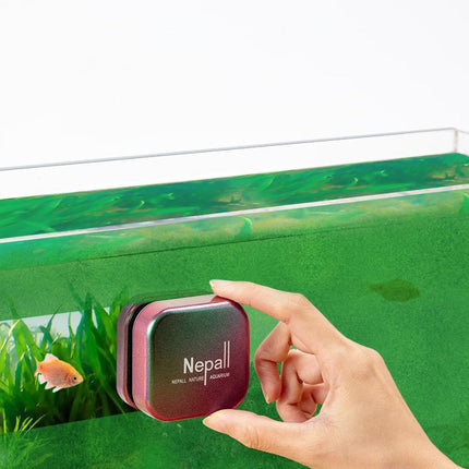 Nettoyeur de vitres d'aquarium flottant magnétique