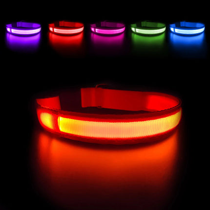 LED Safety Dog Collar - Wnkrs