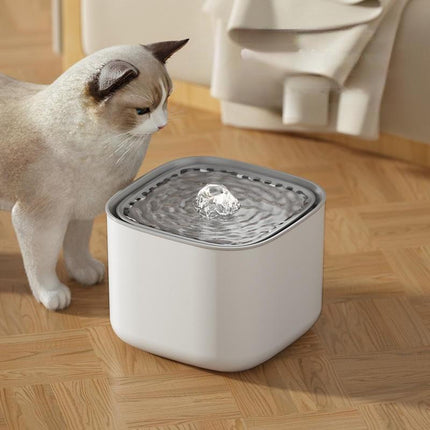 Fontaine à eau électrique pour chat - Grande capacité de 3 L avec chargement USB et filtration automatique