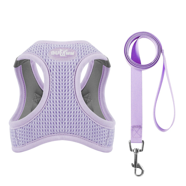 Ensemble harnais et laisse en maille réfléchissante pour chat et petit chien