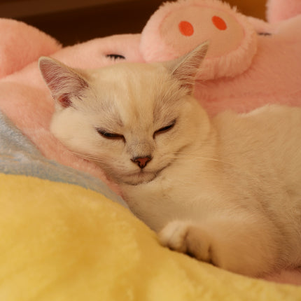 Cama para gatos con forma de cerdo rosa