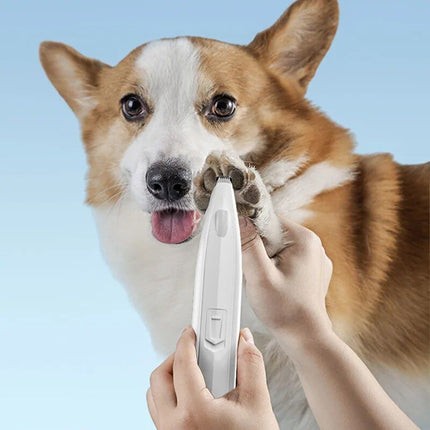 LED Light Pet Dog Hair Trimmer - Wnkrs