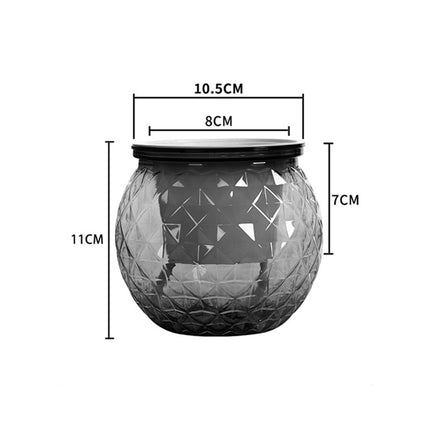 Pot de plantes succulentes auto-arrosant avec aquarium