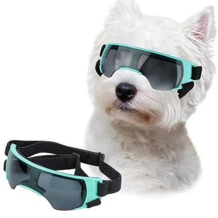 Gafas de sol para perros pequeños