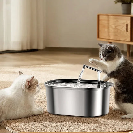 Fontaine à eau automatique pour animaux de compagnie en acier inoxydable