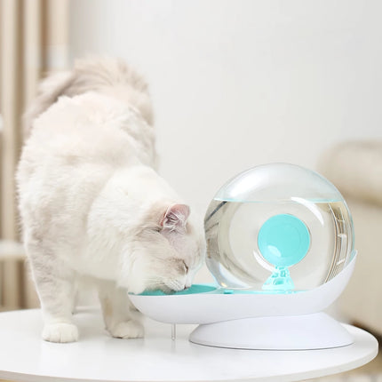 Fontaine à eau automatique en forme d'escargot pour chats et chiens de 2,8 L