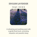 ENGLISH LAVENDER / 100 ML