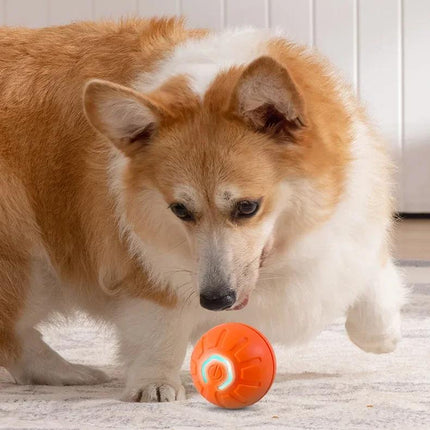 Pelota de juguete inteligente e interactiva para perros