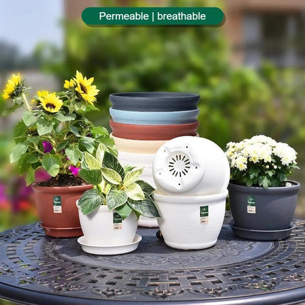 Round Ceramic Style Indoor Plant Pot with Tray