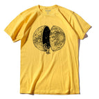 10 / XL