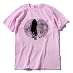 6 / XL