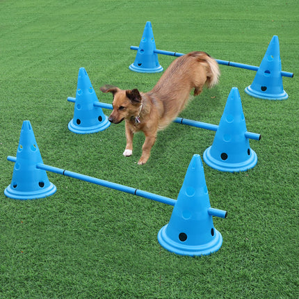 Ensemble de 3 haies d'entraînement pour chien